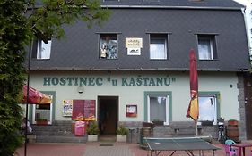 Pension U Kaštanů Karlovy Vary
